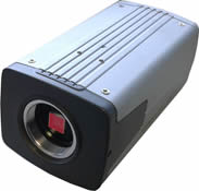 Big_UHL-372B.jpg